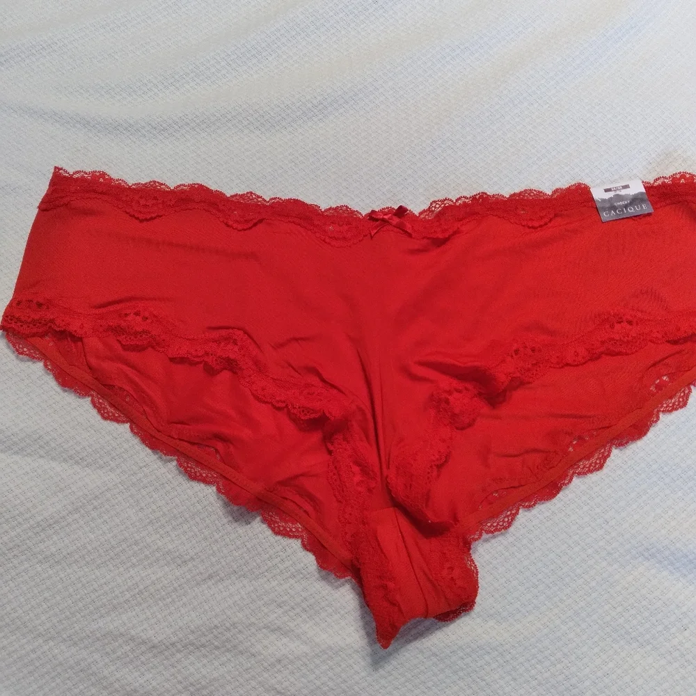 Lot of Lane Bryant cheeky panties